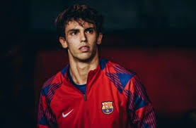 棒球与城市经济球场周边的运动酒吧如何形成独特的商业生态