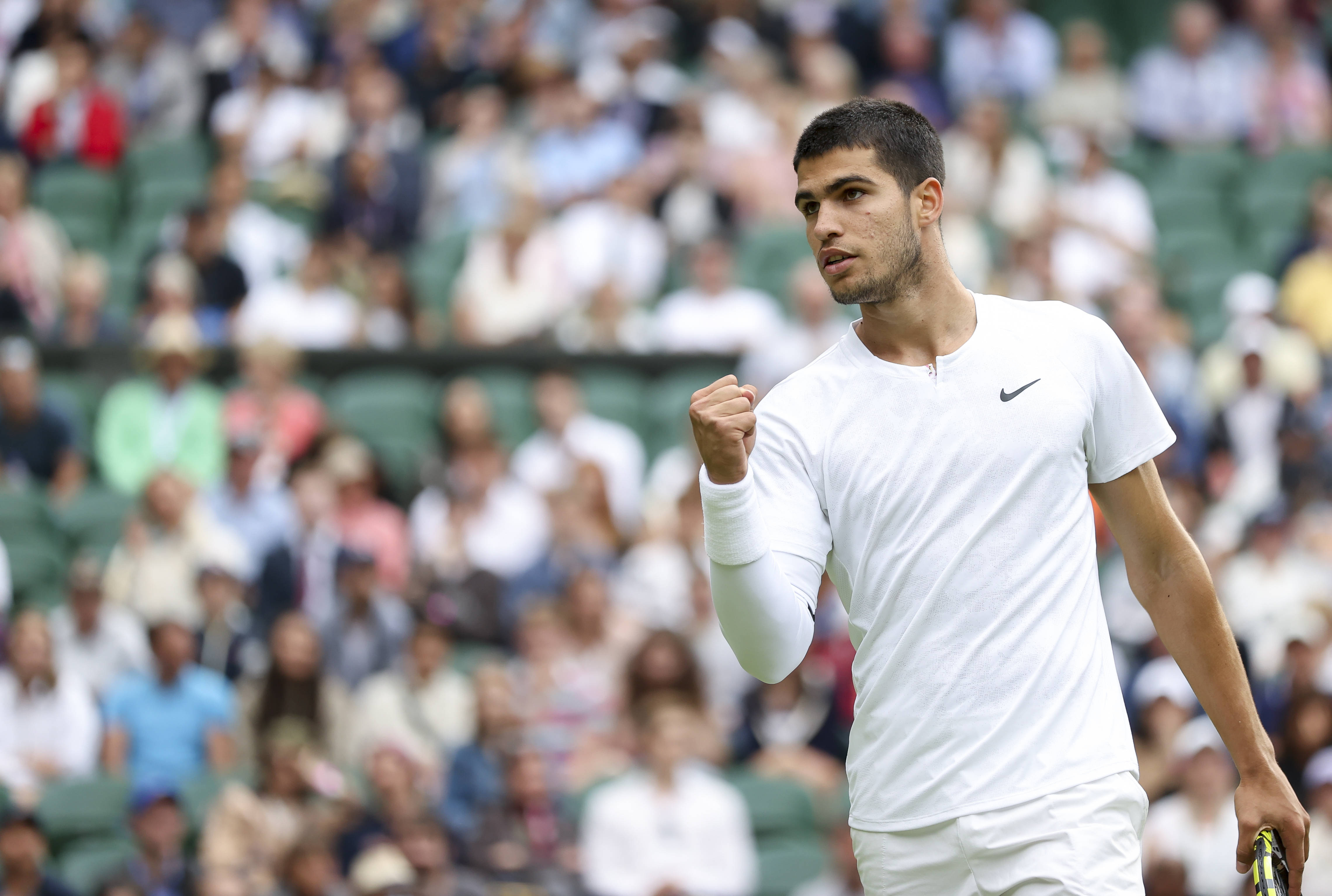 示了丰富多 示了丰富多