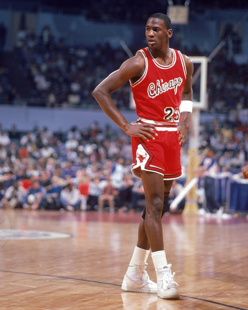 建设和加强 建设和加强