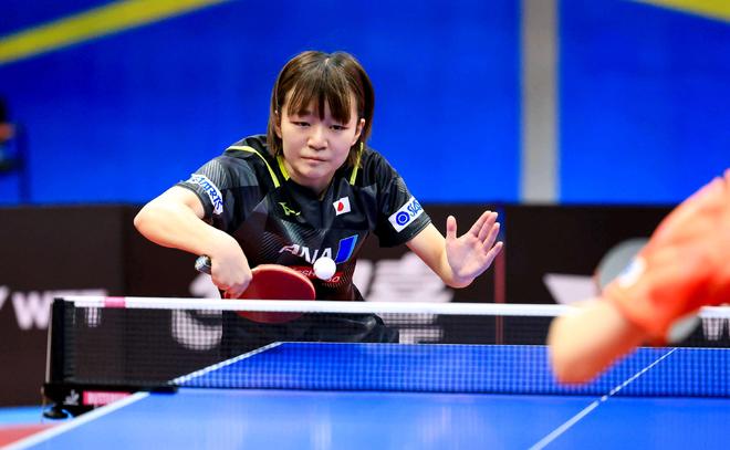 们带来了荣 们带来了荣